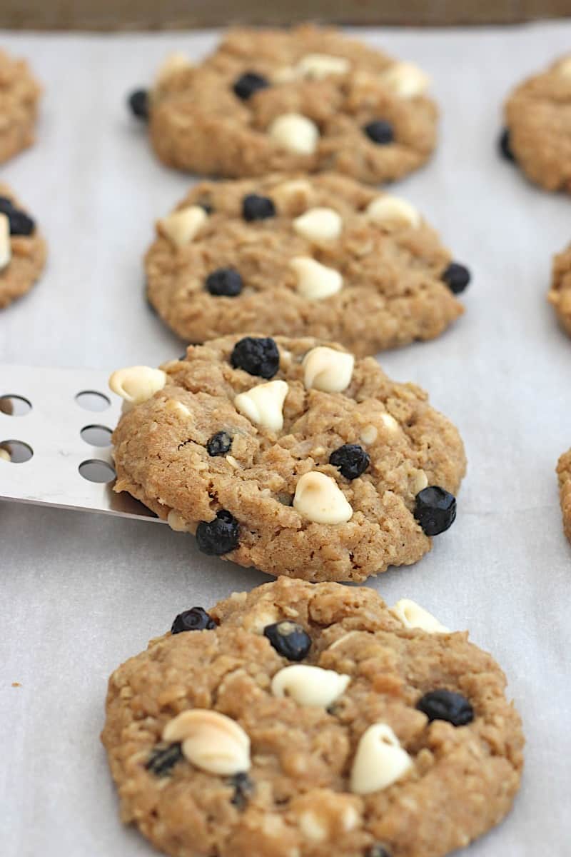White Chocolate Dried Blueberry Coconut Oatmeal Cookies The BakerMama