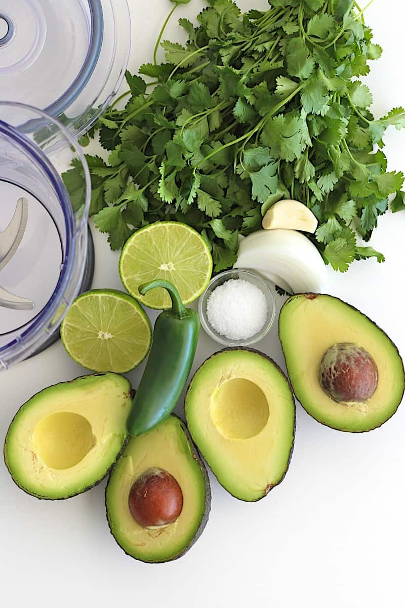 The Best Blender Guacamole The BakerMama