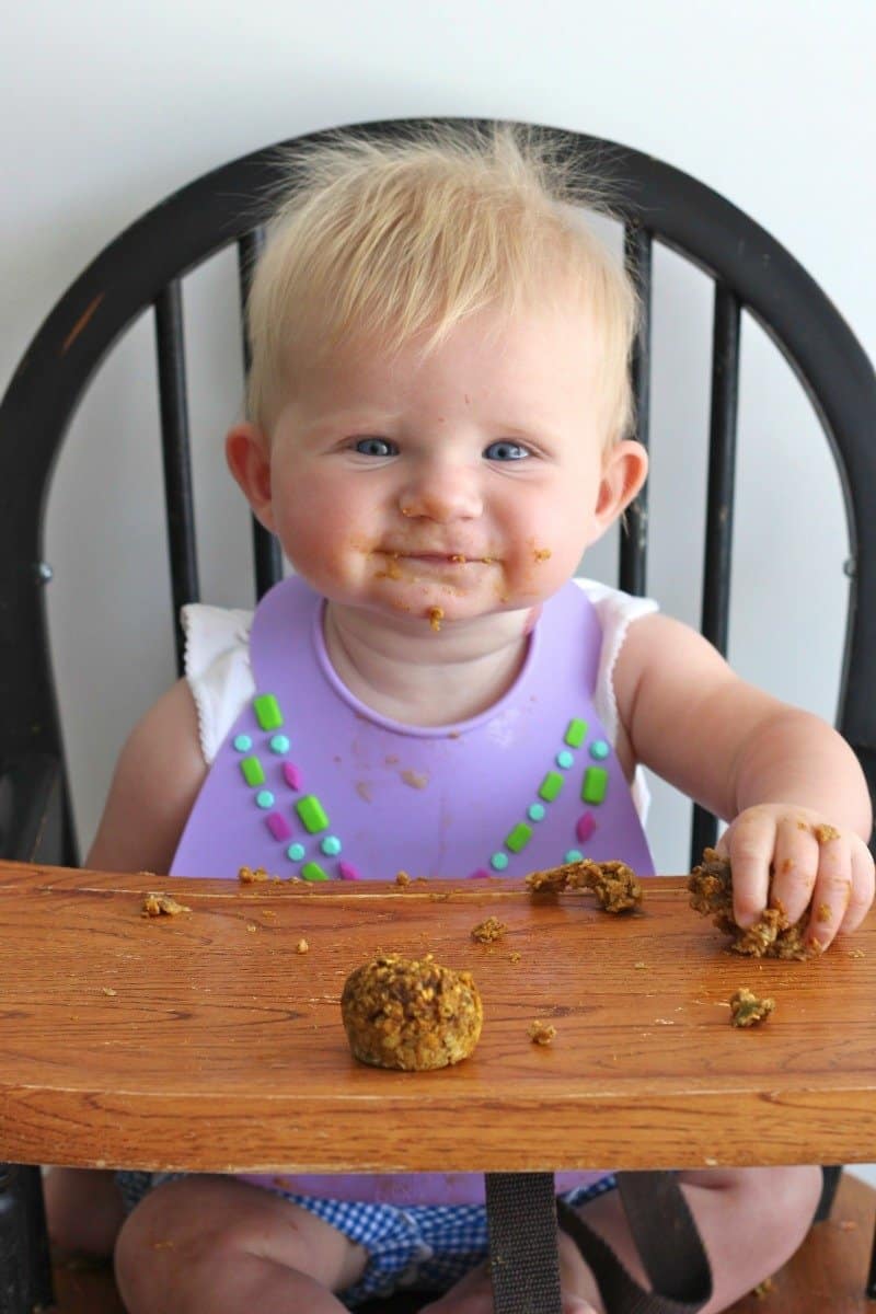 Baby Food Oatmeal Bites The BakerMama