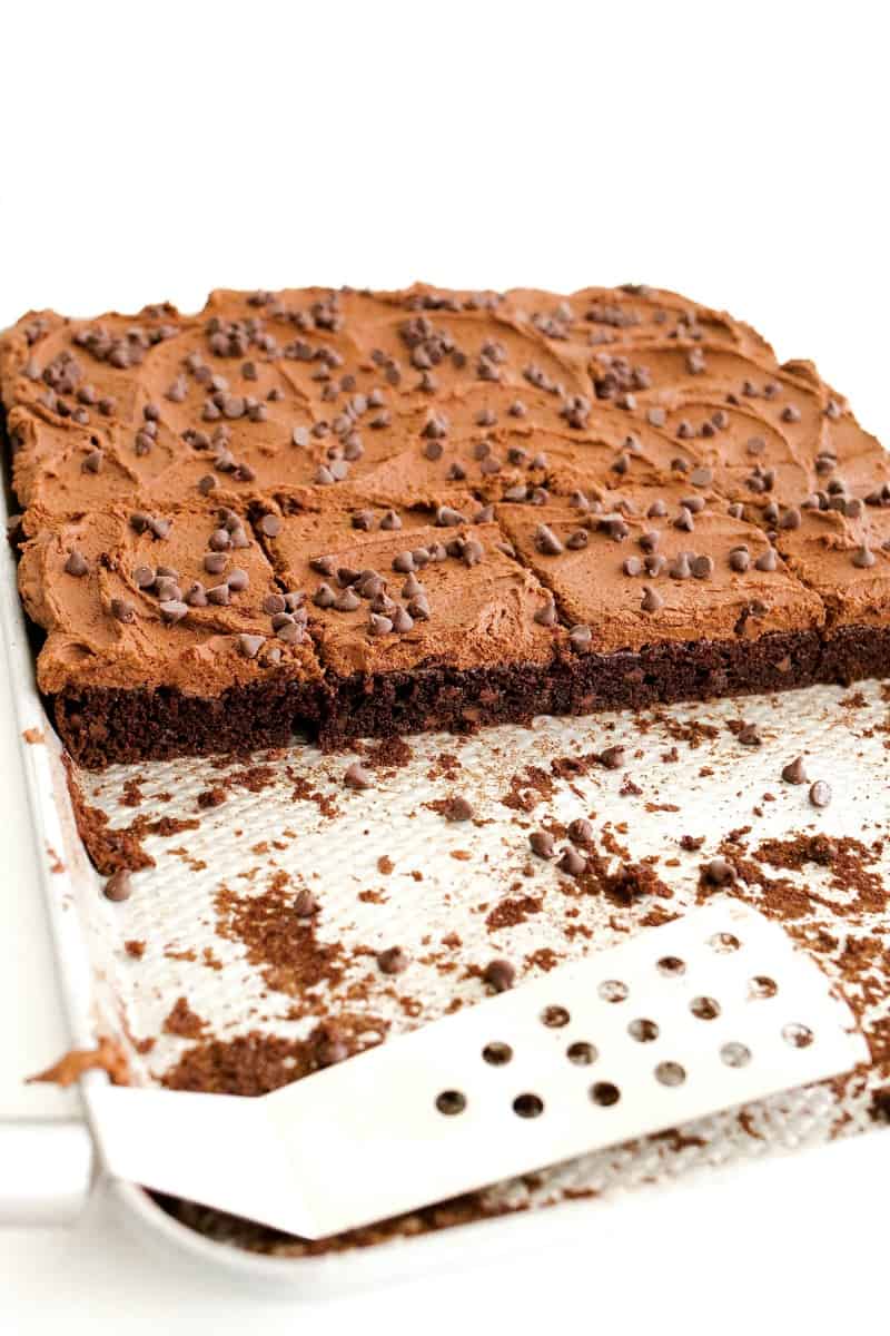 Chocolate Chocolate Chip Sheet Cake The BakerMama