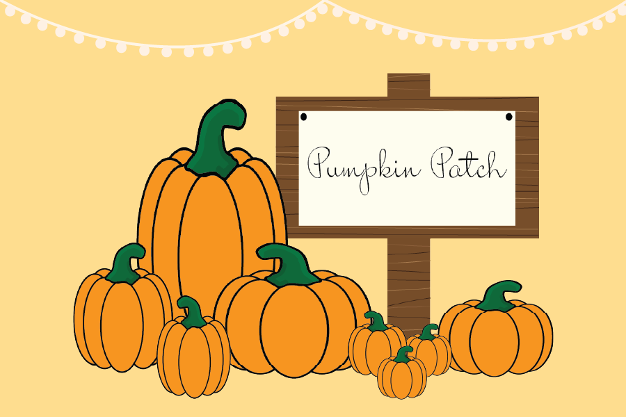 Four of the best local pumpkin patches The Baker Orange