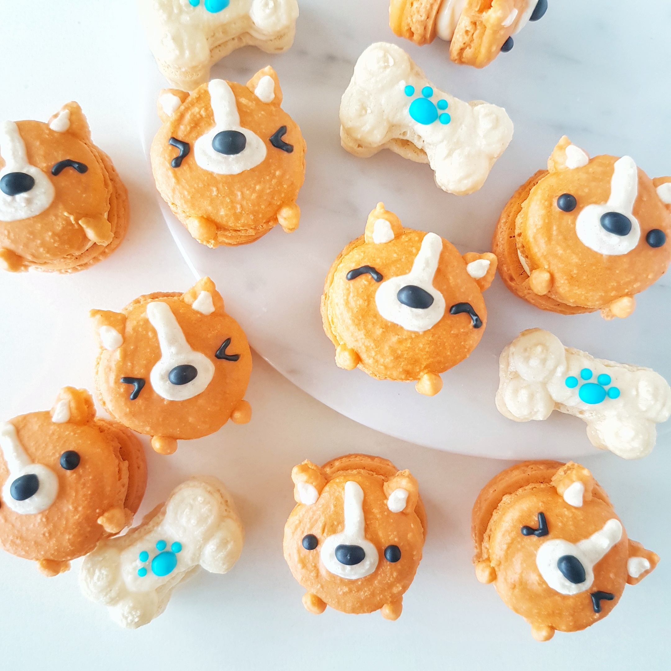 corgi baking