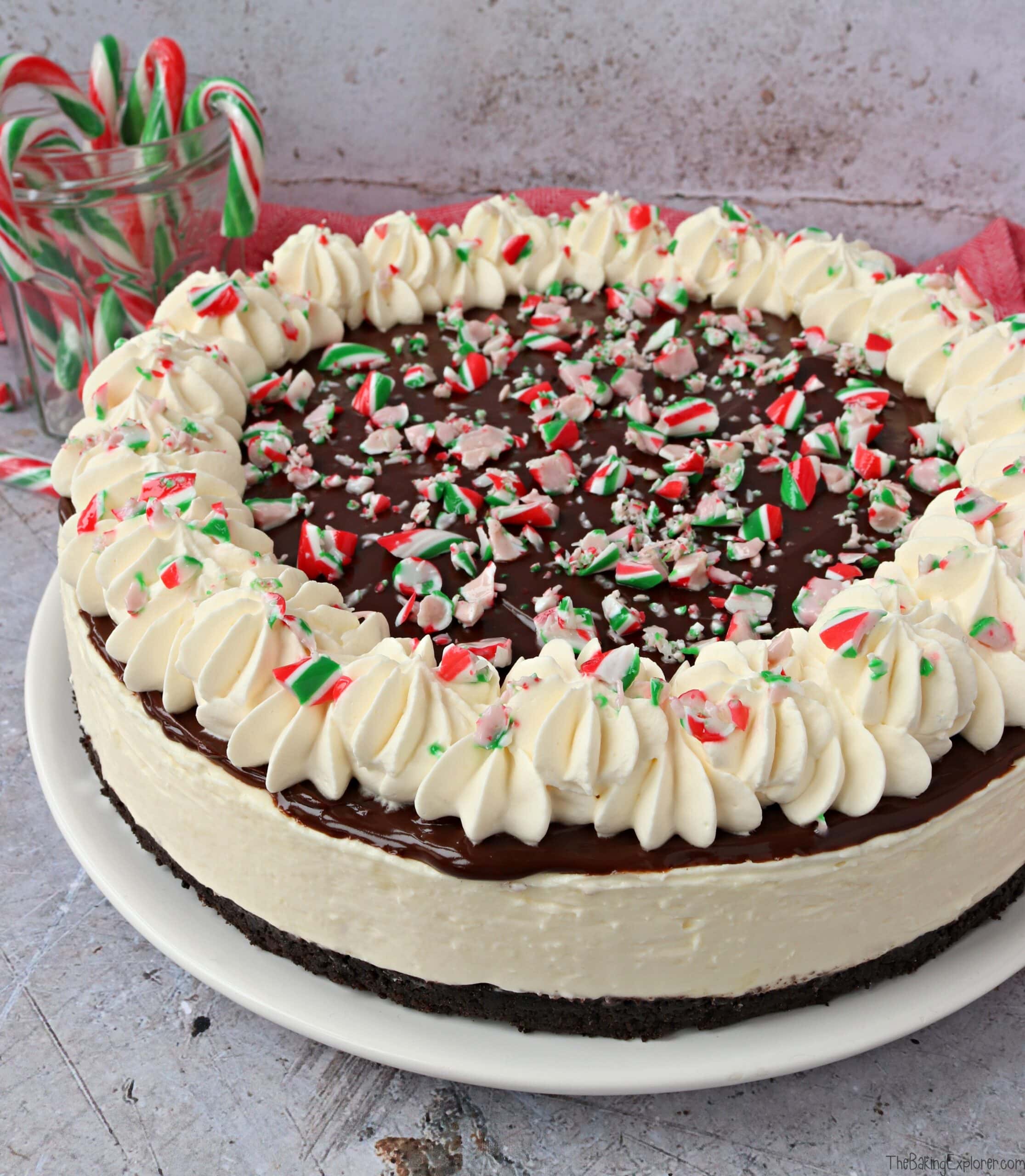 Candy Cane Cheesecake (No Bake) The Baking Explorer