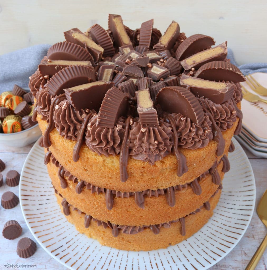 Reese's Peanut Butter Cake The Baking Explorer