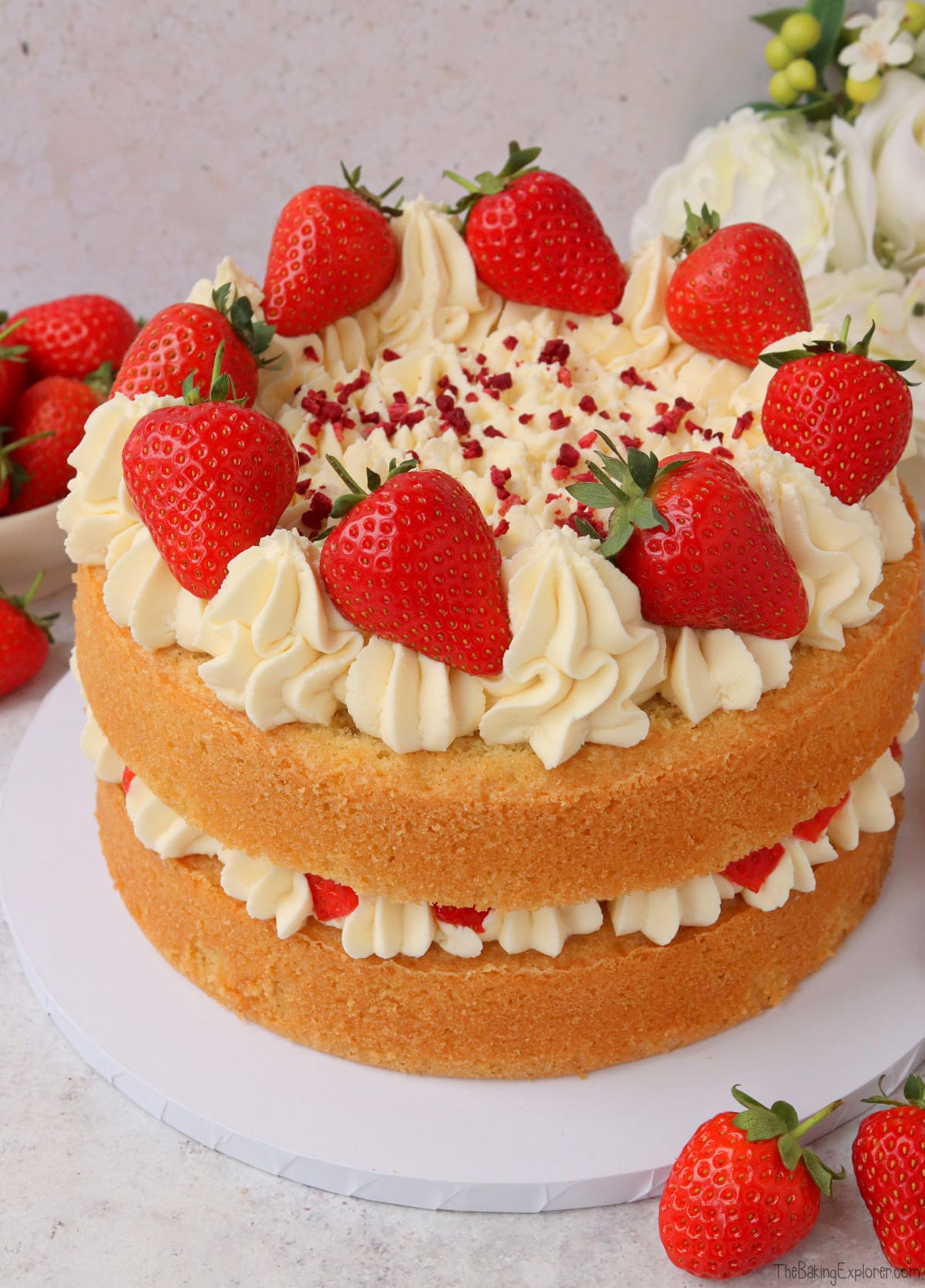 Fresh Strawberry Cream Sponge Cake Recipe Deporecipe.co