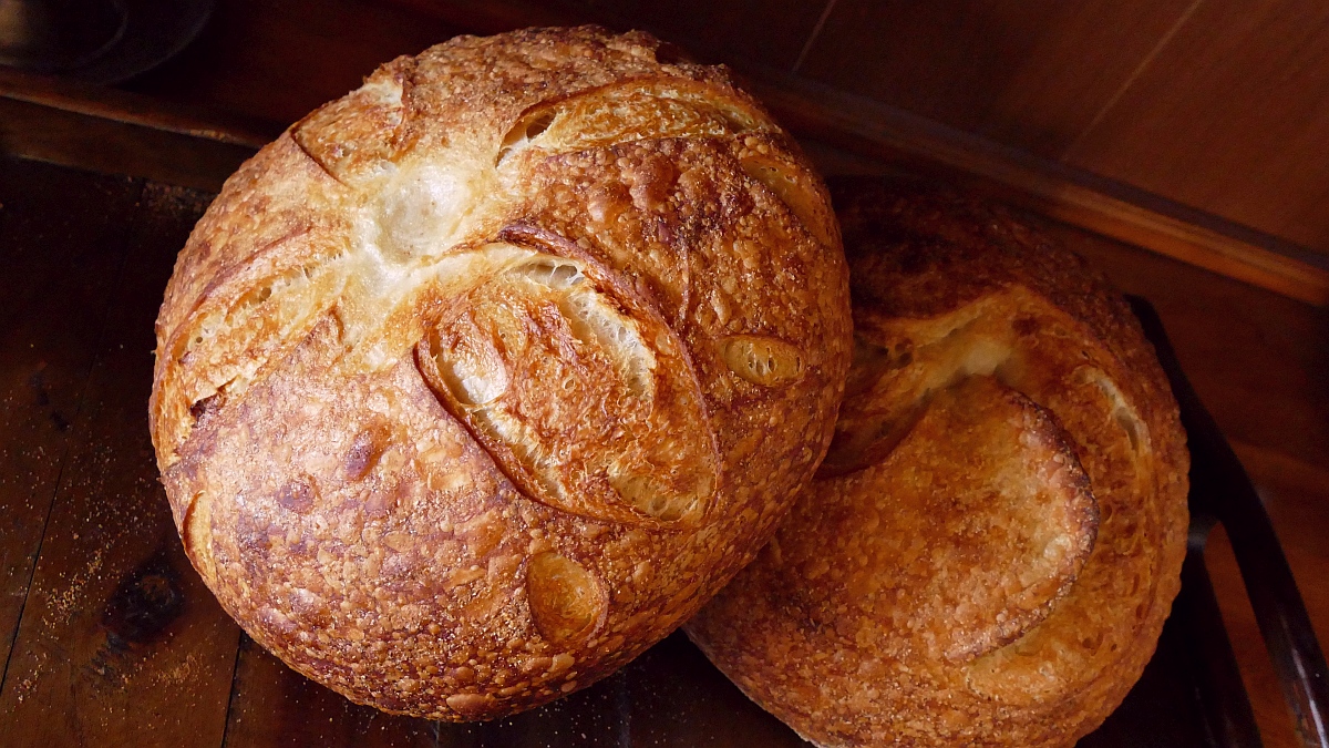 Alaska Sourdough Bread The Baking Network