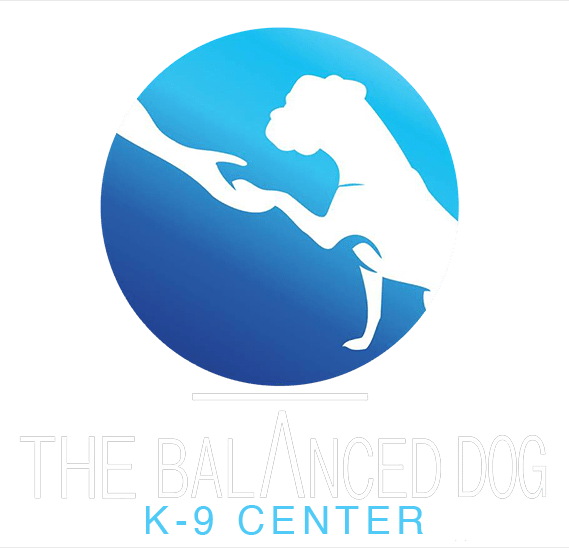 Dog Training & Obedience School Midland, Odessa, San Angelo, TX