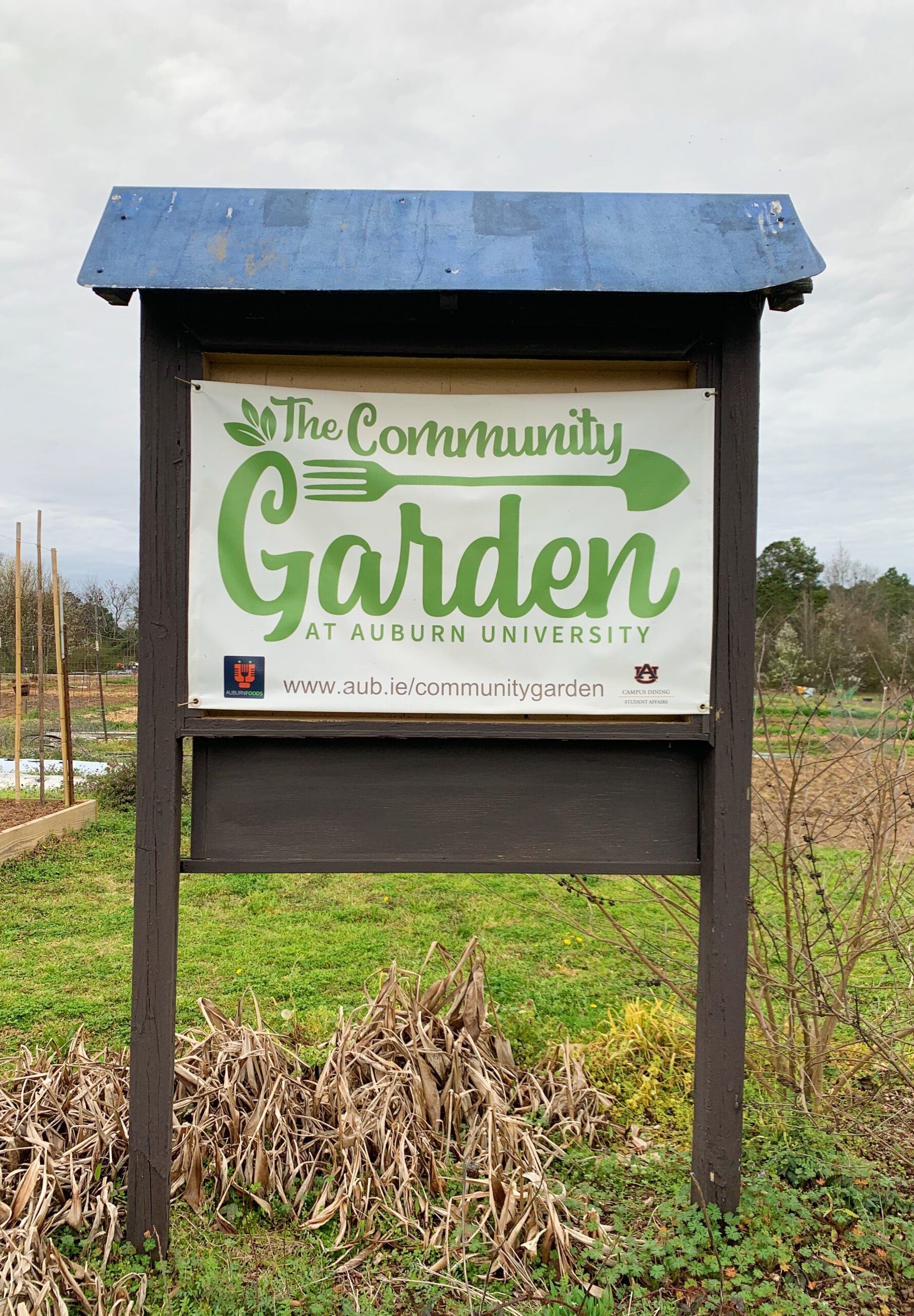 A guide to fresh produce in the AuburnOpelika area The Bama Buzz
