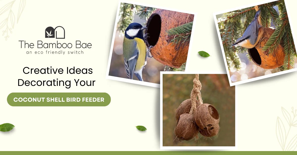 Creative Ideas Decorating Your Coconut Shell Bird Feeder The Bamboo Bae