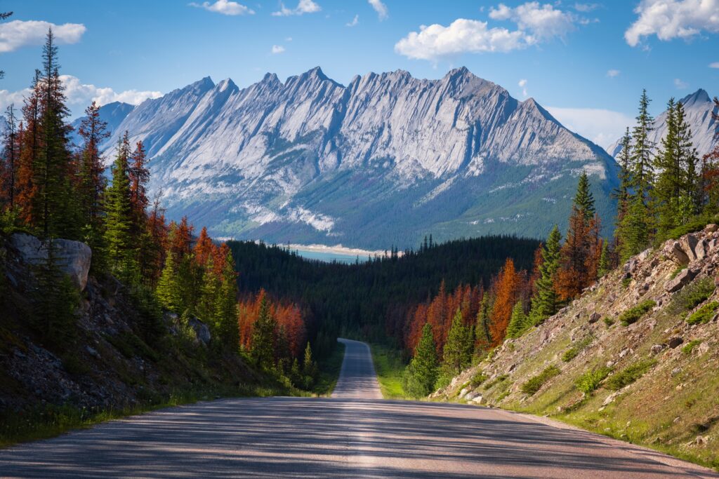 60 AWESOME Things To Do in Jasper (2024 Travel Guide)