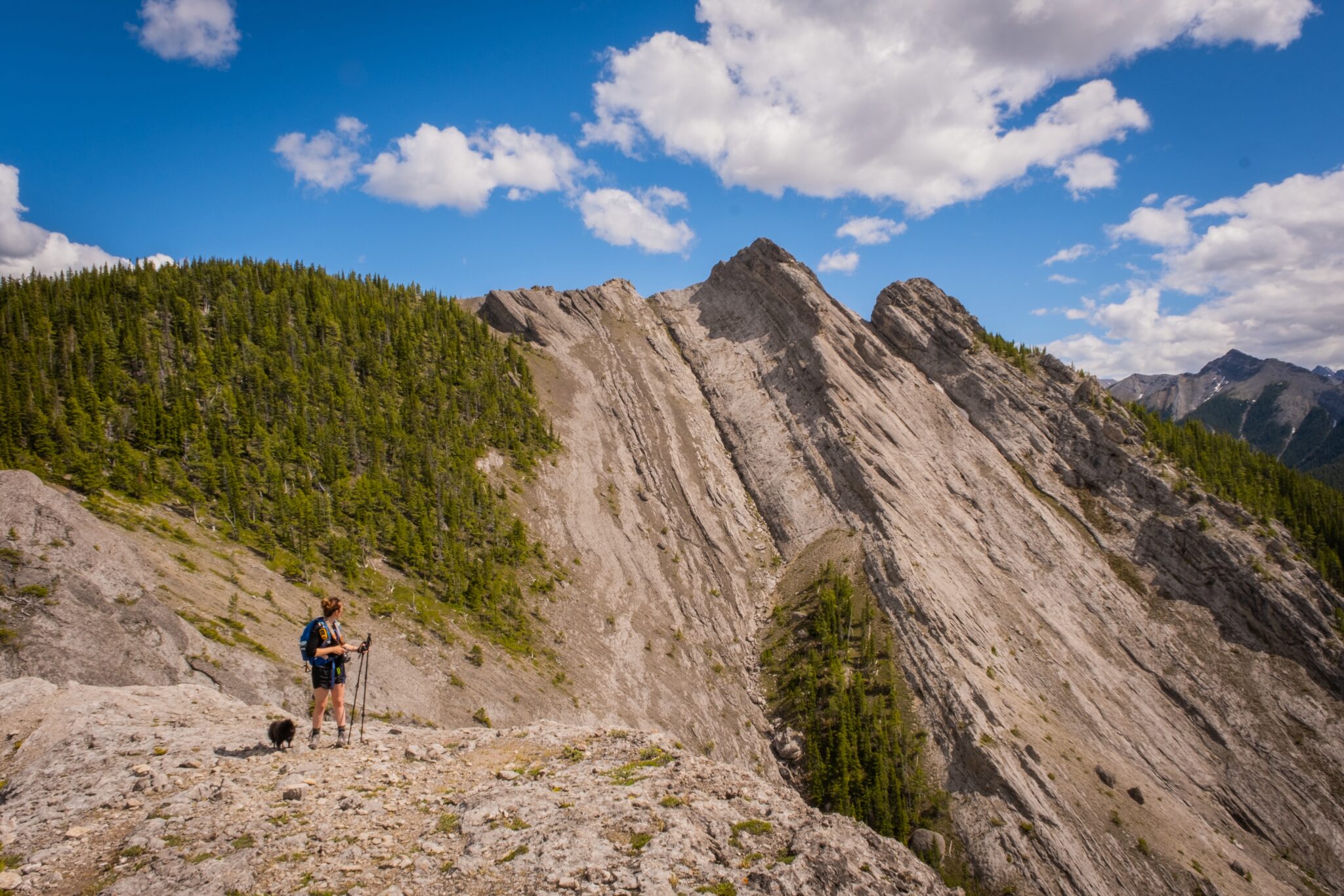20 STUNNING Kananaskis Hikes We Love (With Photos) The Banff Blog