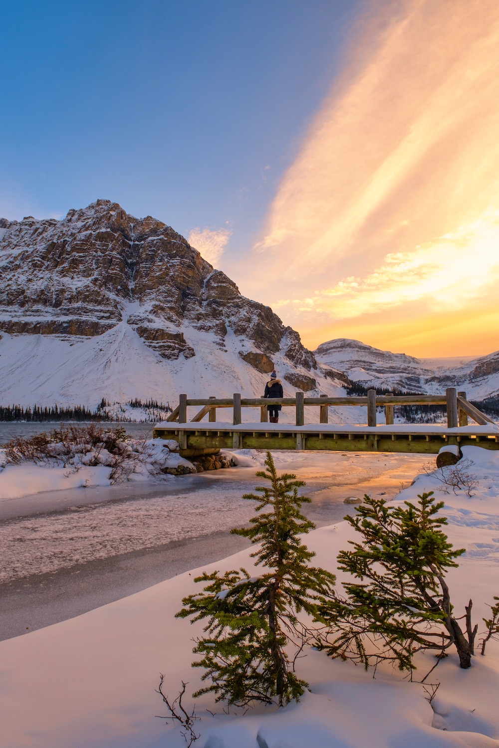 15 Things to Know About Visiting Bow Lake in Banff The Banff Blog