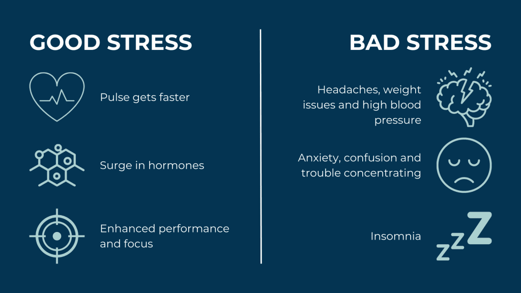 The stress response how you can use it to your advantage The