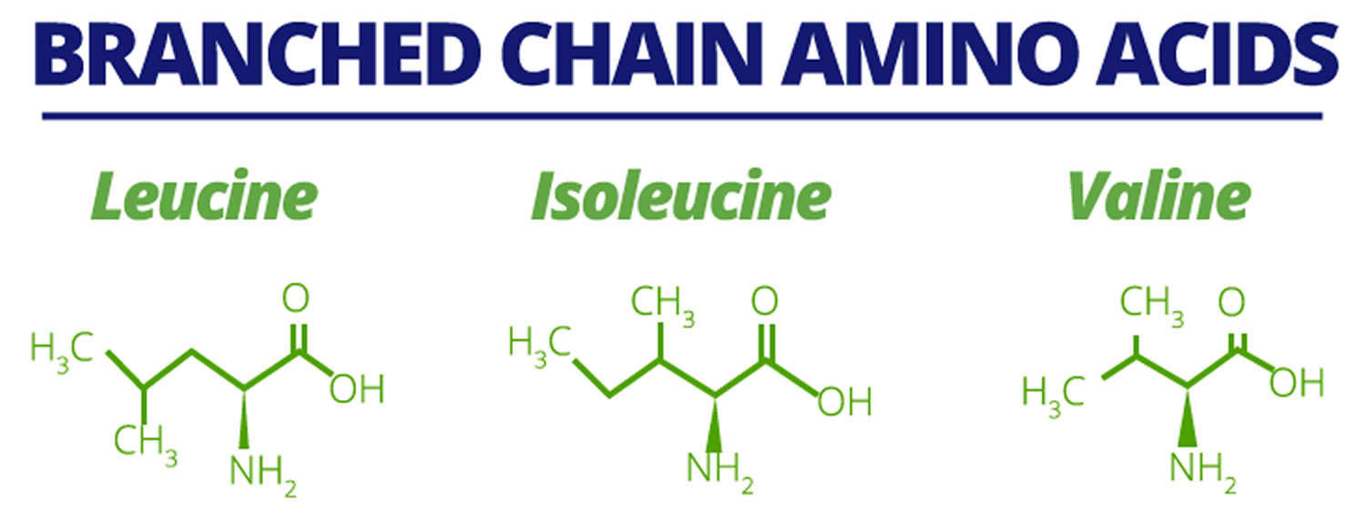 Why BCAAs Are A Waste Of Money The Barbell