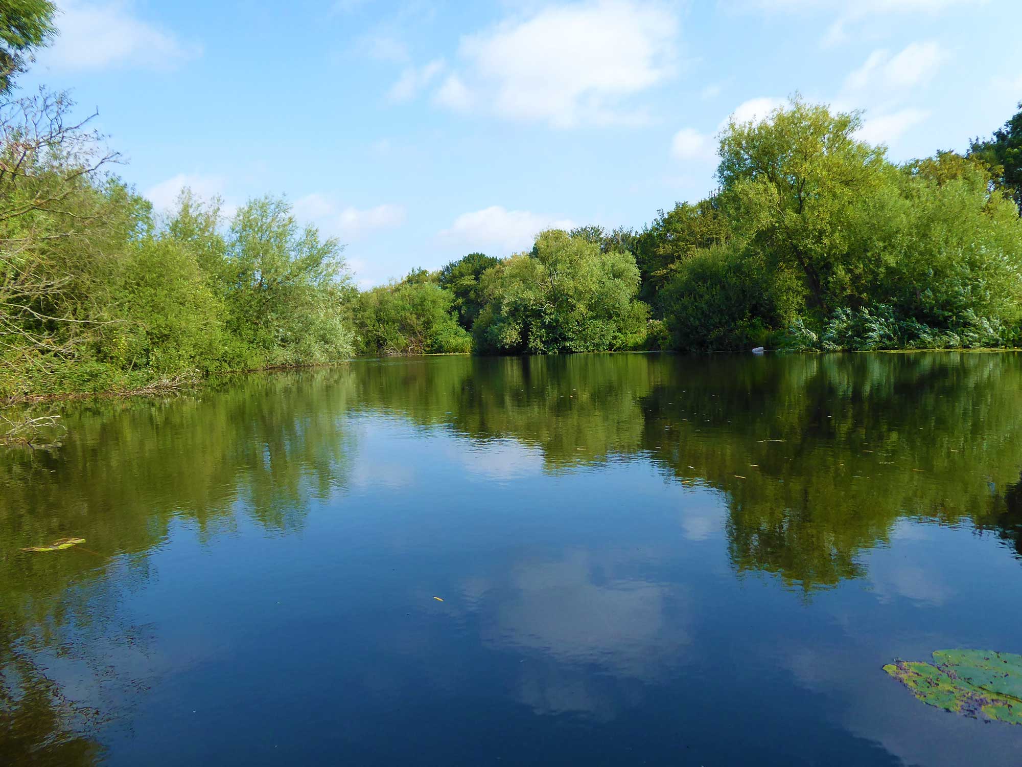 Bailey’s Creek The Barham Lakes