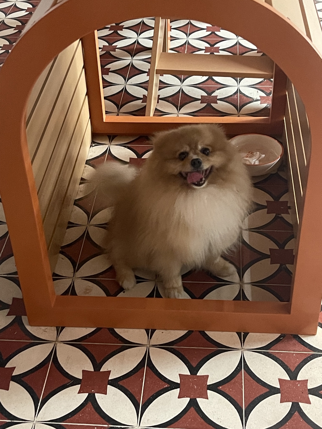 The Barkery Academy & Dog House & Cafe