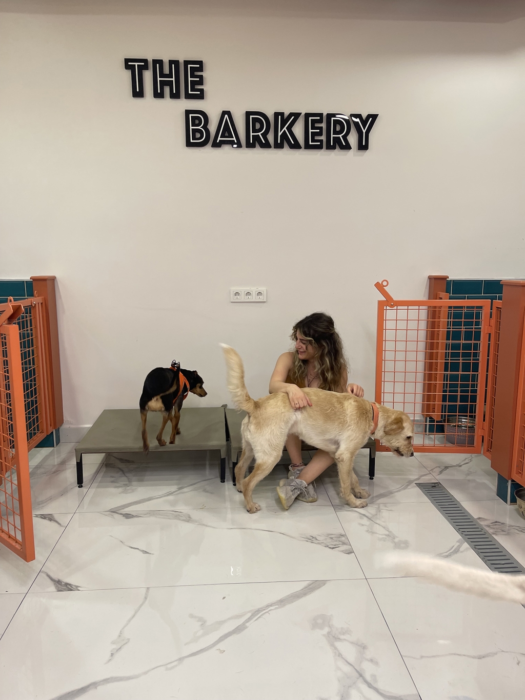 The Barkery Academy & Dog House & Cafe