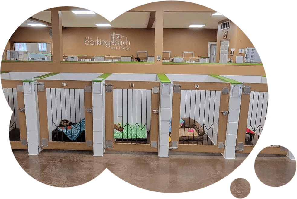 Dog Lodging Boarding Information & Offers Cold Spring MN