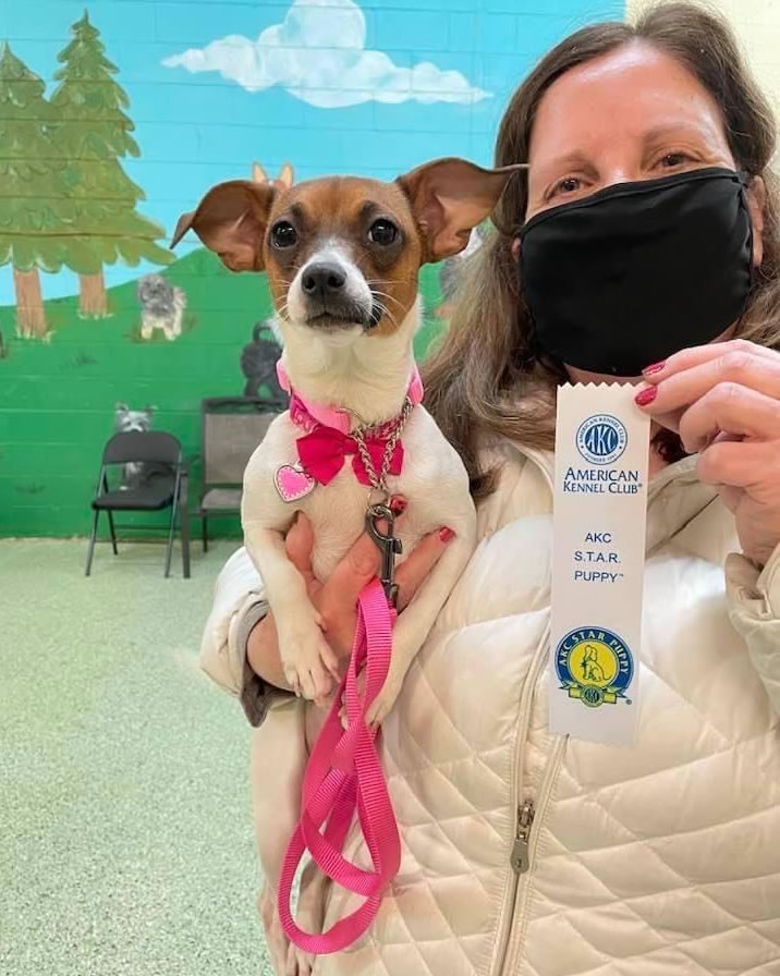 Training The Barking Lot Arvada