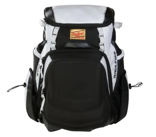 Best Baseball Bags in 2021 (Tried & Tested by Players)