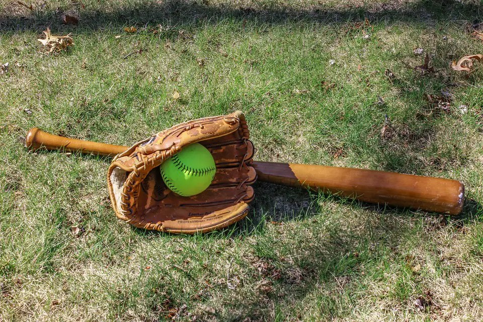 Best Wooden Bats for High School Baseball (Updated 2024)
