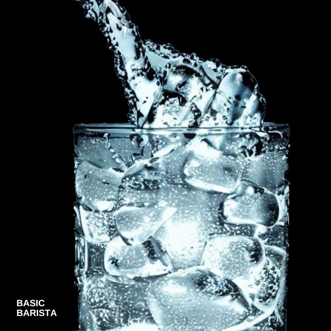 Why You Should Drink Water with Your Coffee Basic Barista