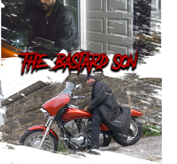 What is The Bastard Son movie?