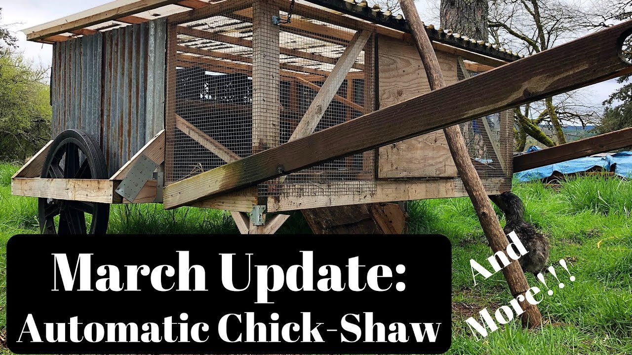 Automatic door for chicken coop and more! The BATTLEFRONT