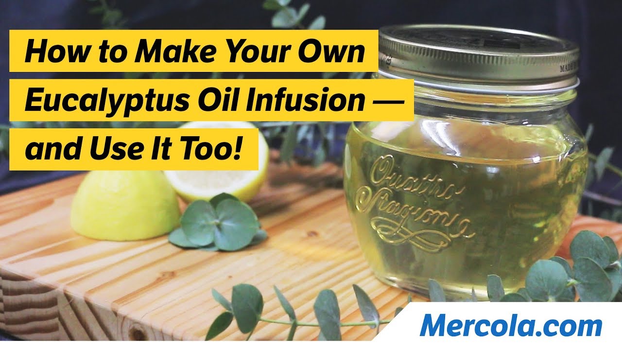 How to Make Your Own Eucalyptus Oil Infusion — and Use It Too! The