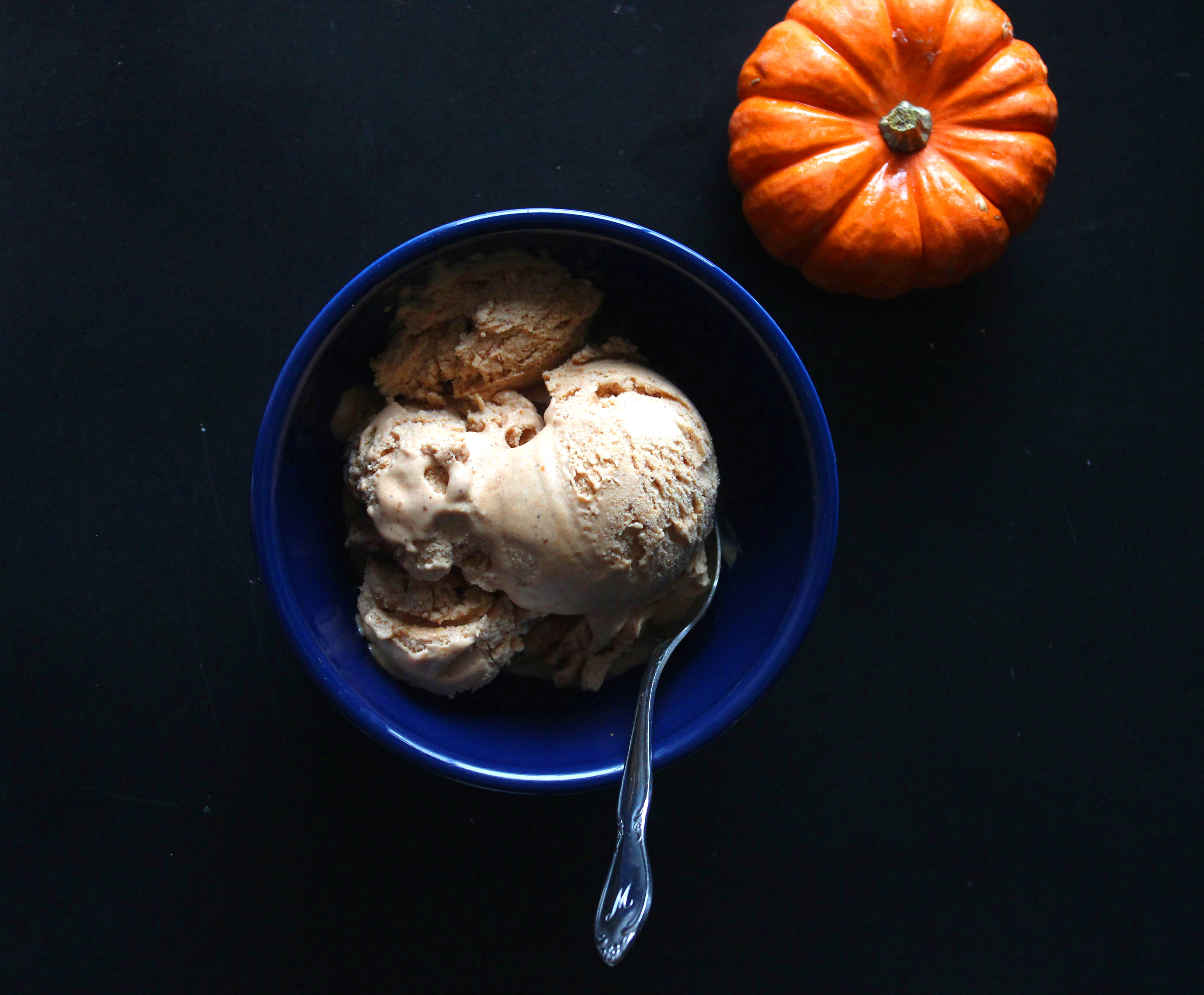 Pumpkin Maple Frozen Custard & NYC The Bay Leaf Kitchen