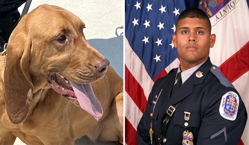 Officer Faces Animal Cruelty Charges In Prince County The