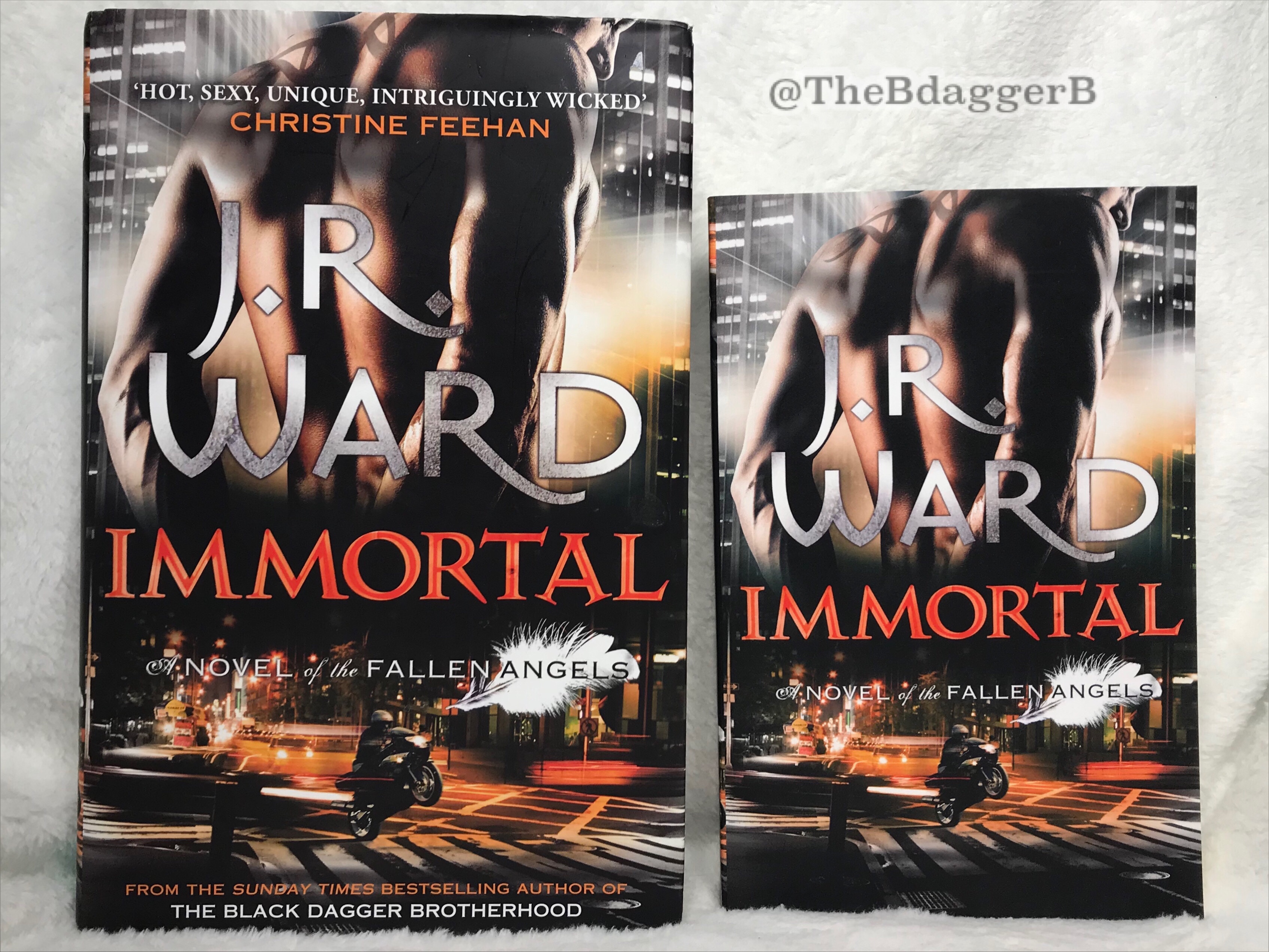 The Fallen Angels series UK VS US covers! The BdaggerB
