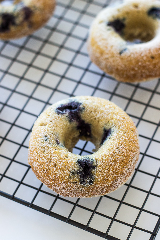 Baked Buttermilk Blueberry Donuts The Beach House Kitchen