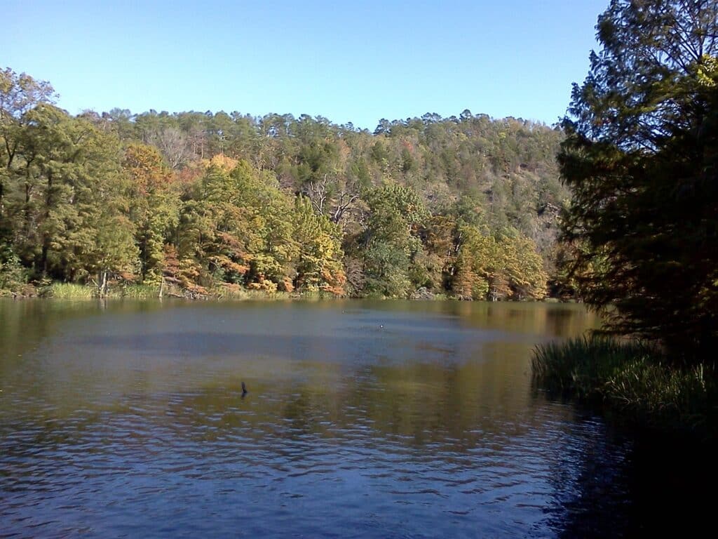 A Visitor’s Guide to Beavers Bend State Park The Bear Cabins