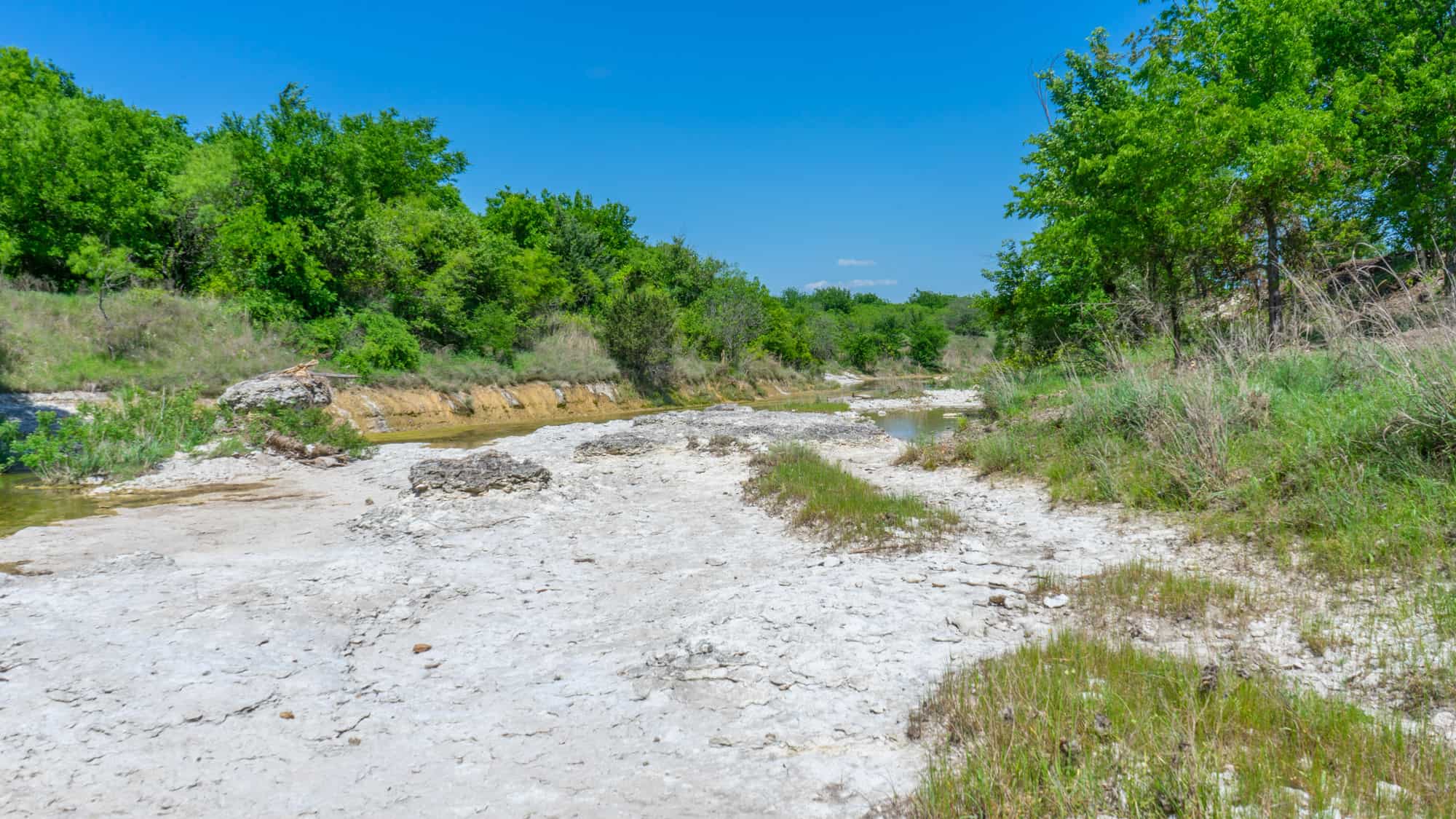 Home Bear Creek Ranch