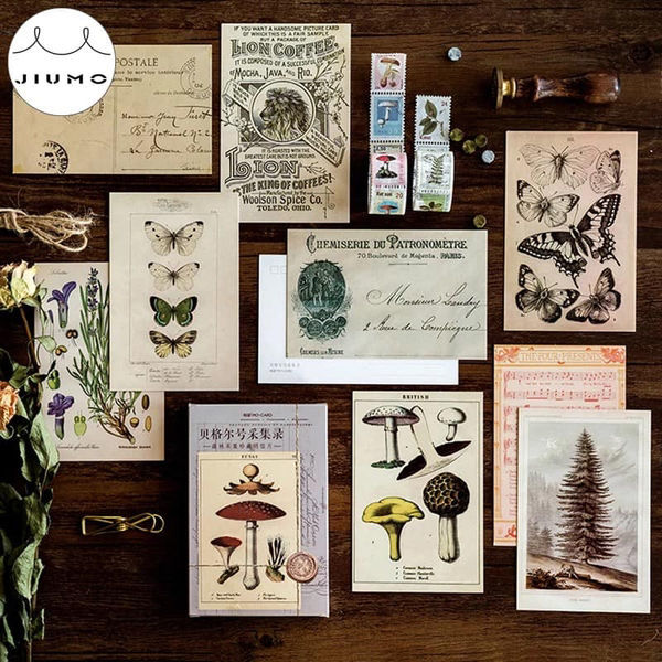 The Beautiful. Assorted Postcard Set