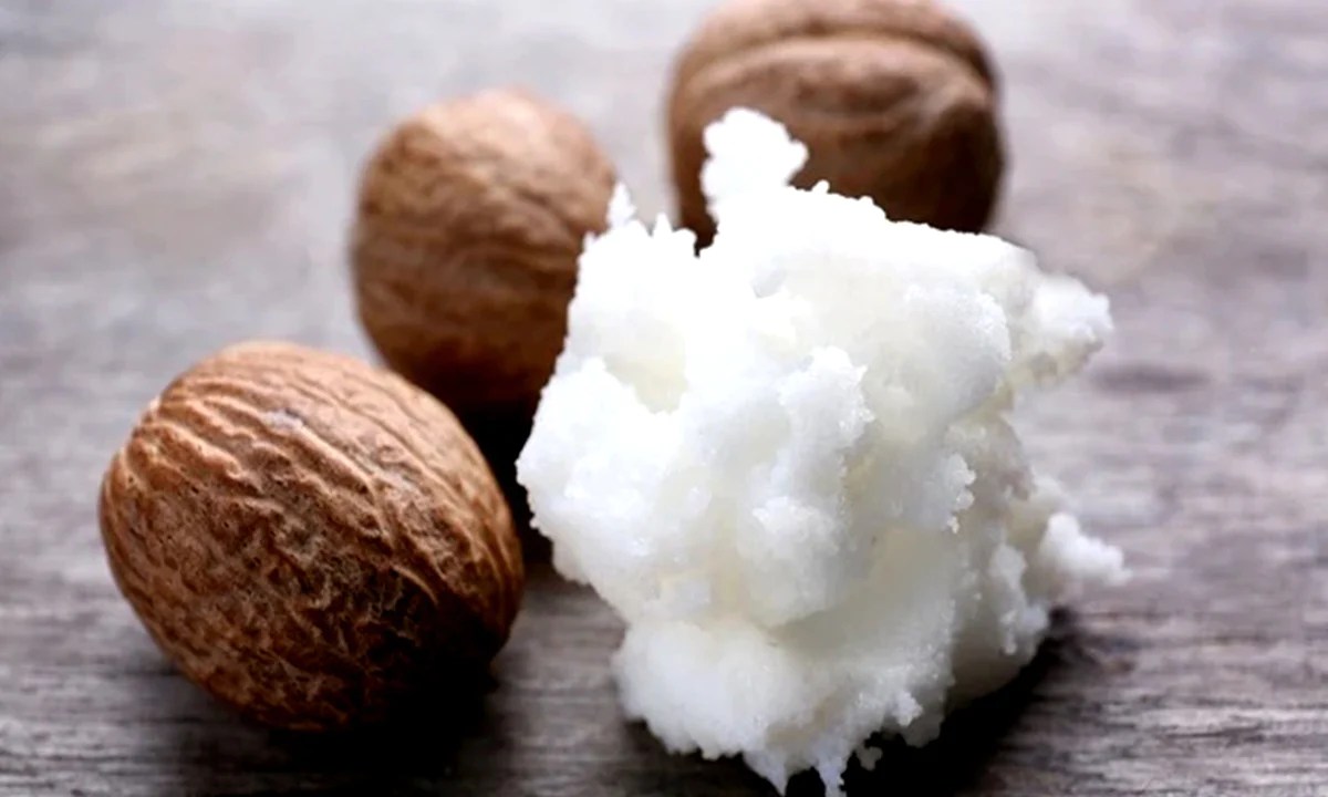 How Comedogenic is Shea Butter? the BEAUTIOUS