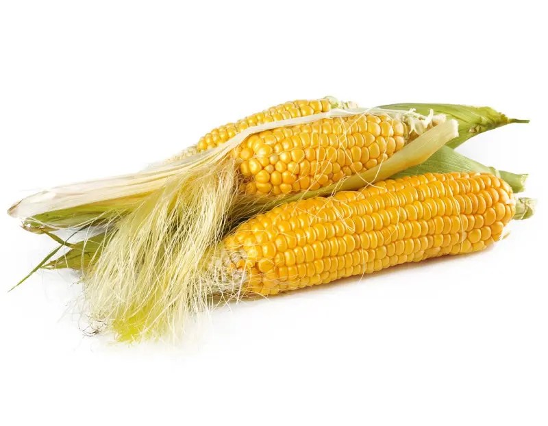 Benefits of Corn Silk For Hair and Skin & How To Use For Best Results