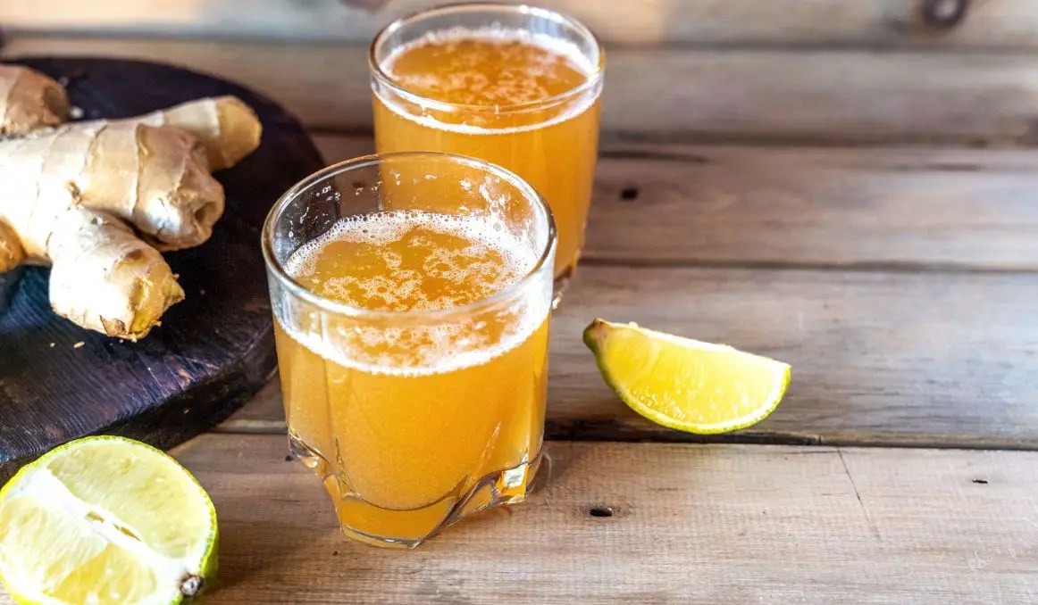 Ginger Beer What It Is, History, Taste & the Best Ginger Beers