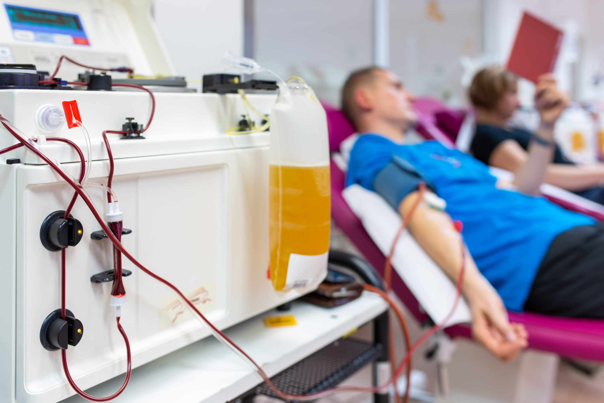 Drinking After Donating Plasma What You Need To Know