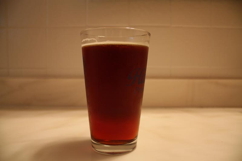 Homebrew Red Ale 5 The Beerly