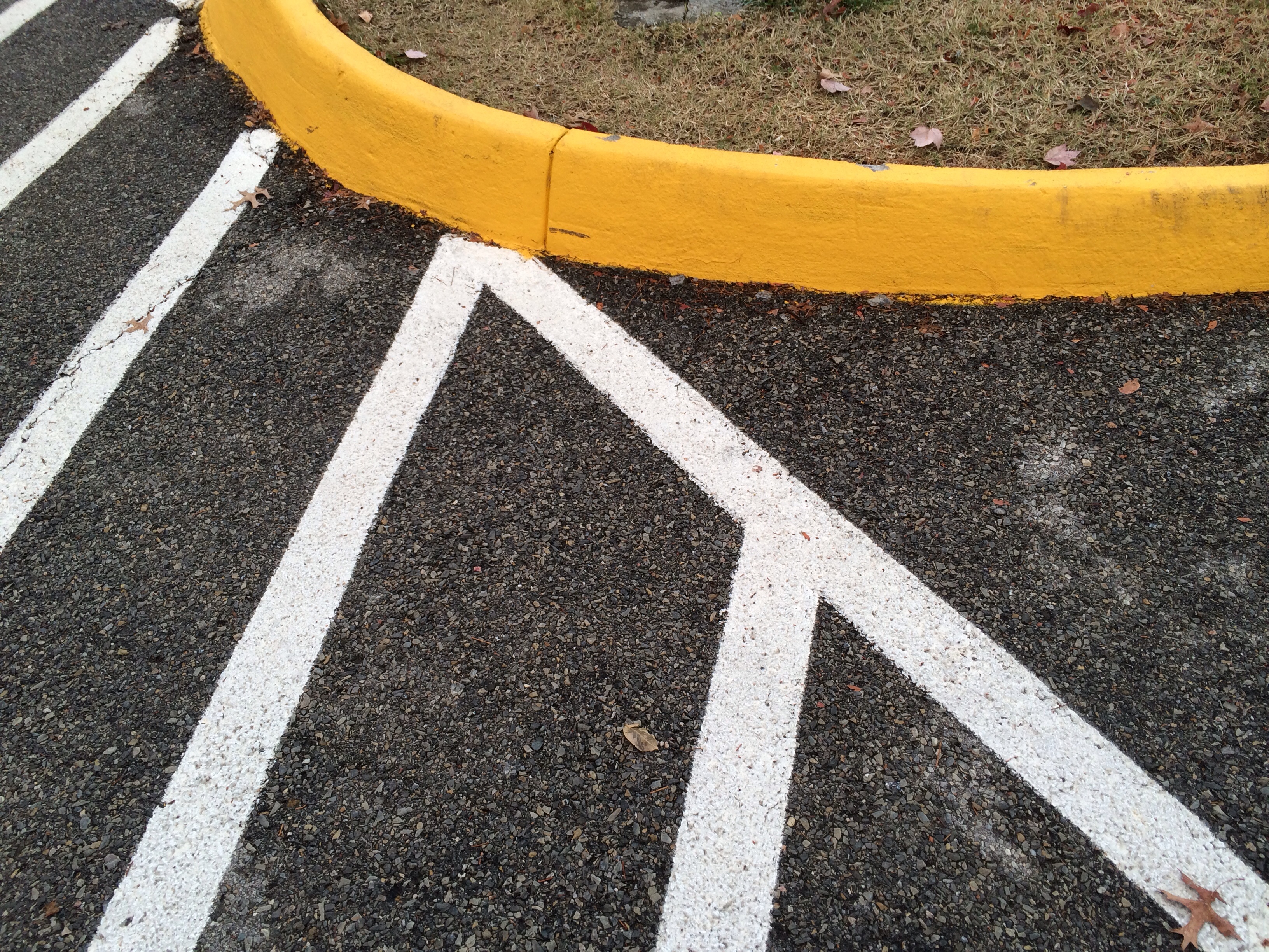 Color PopParking Lot Yellow the beespeak