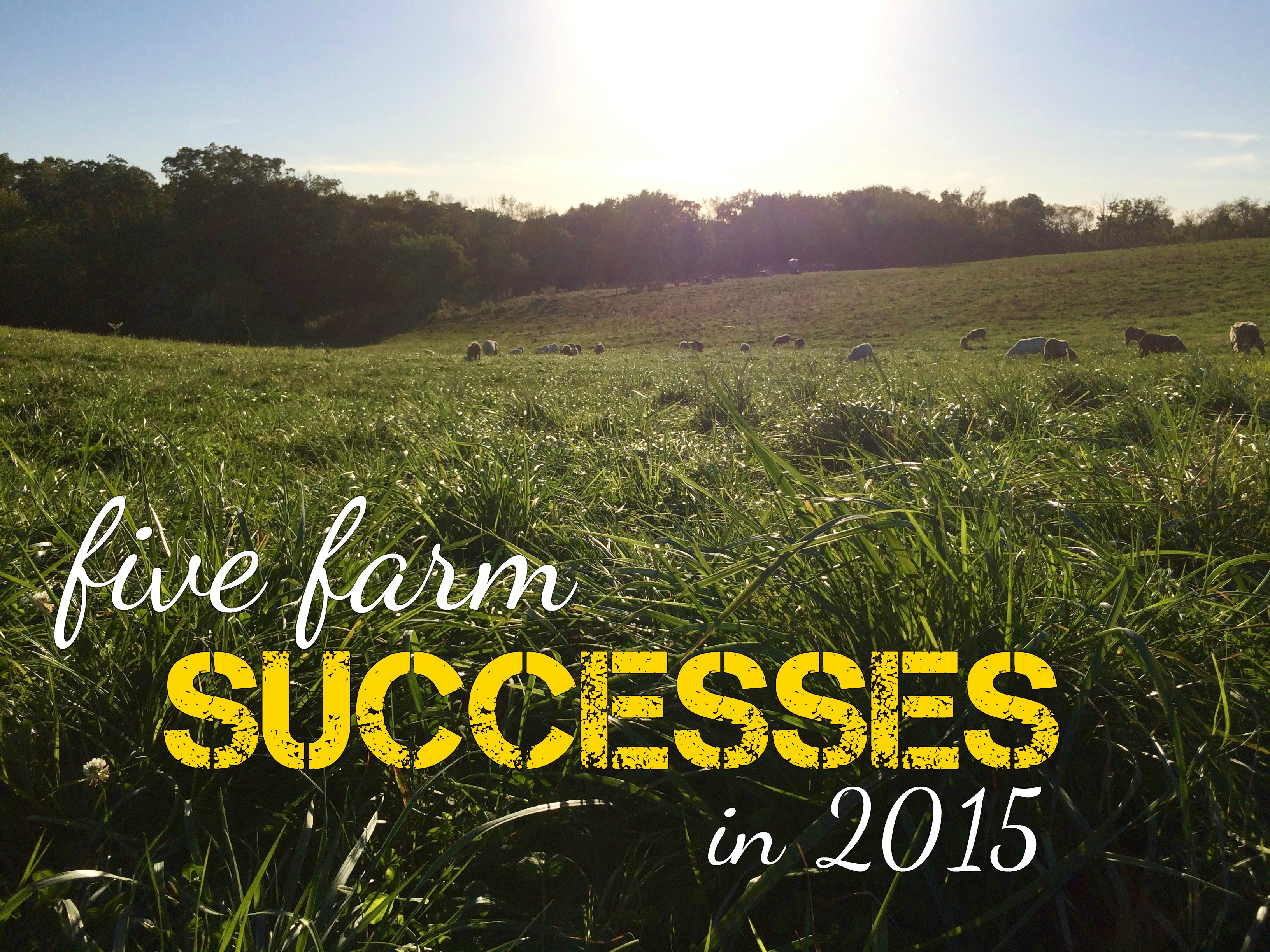 The Beginning Farmer TBF 131 Five Farm Successes in 2015 and a Hard