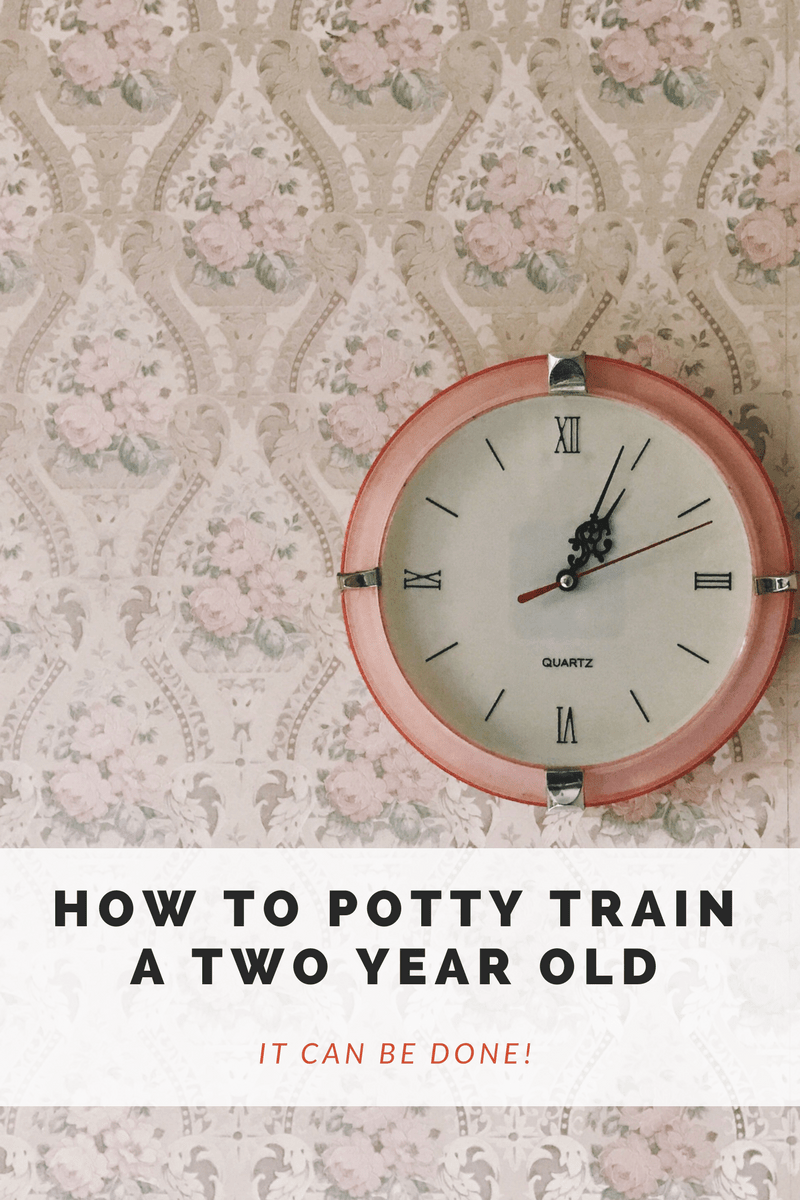 Potty Training A Two Year Old Naptime Chai