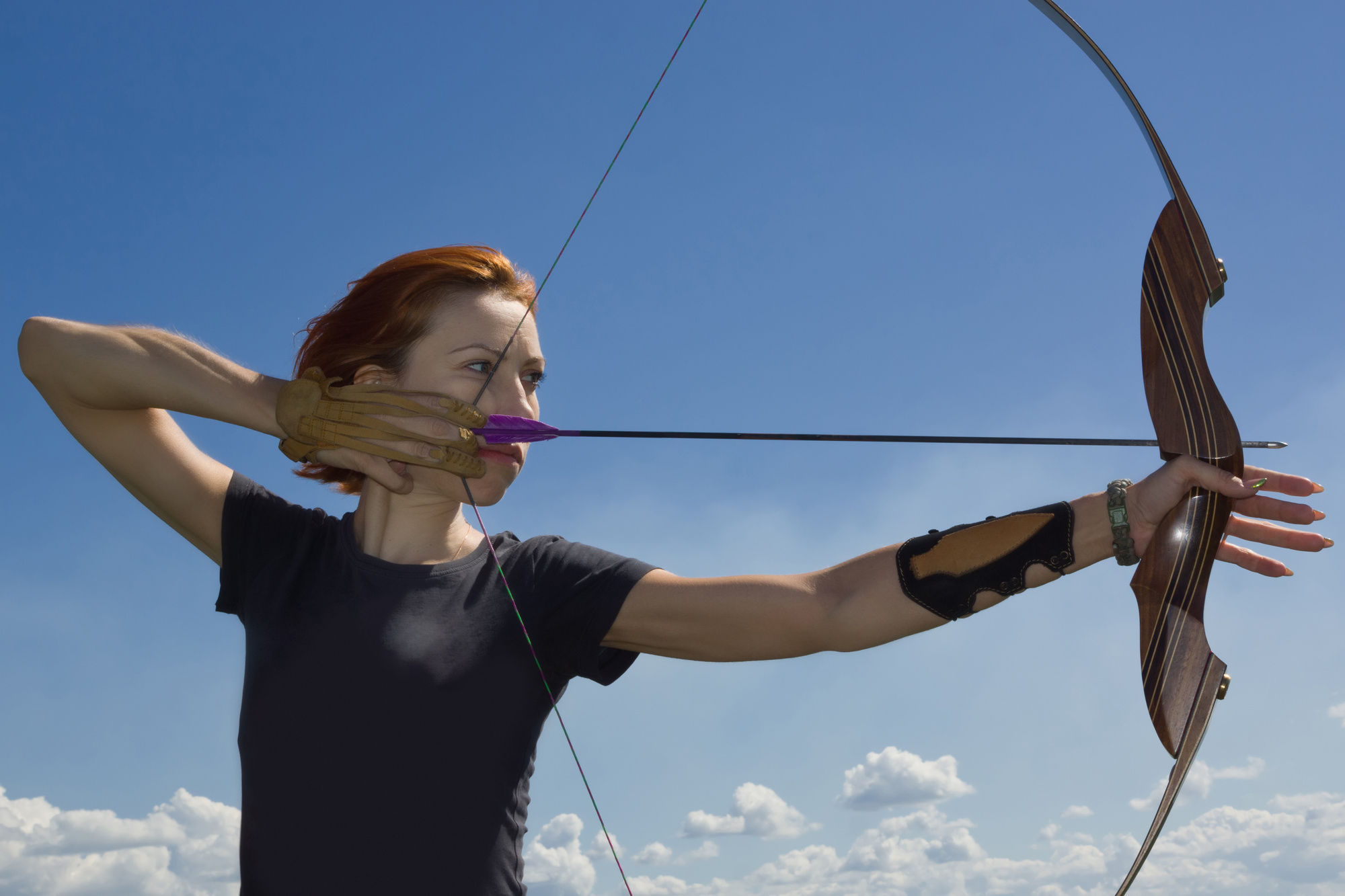 A Guide to Compound Bow Sights