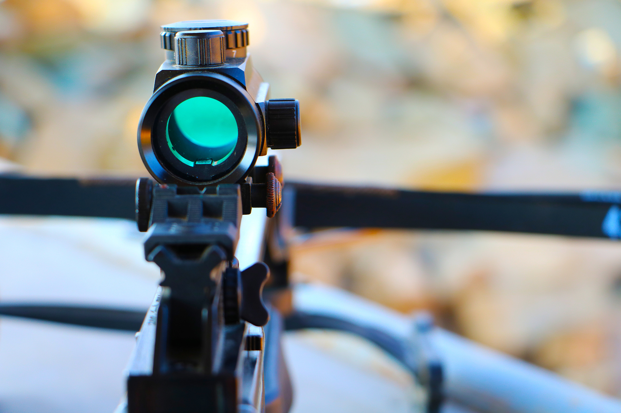 Review The Best Compound Bow Sights for 2018