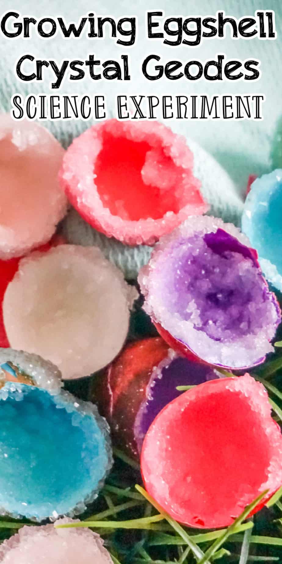 Growing Eggshell Crystal Geodes Science Experiment
