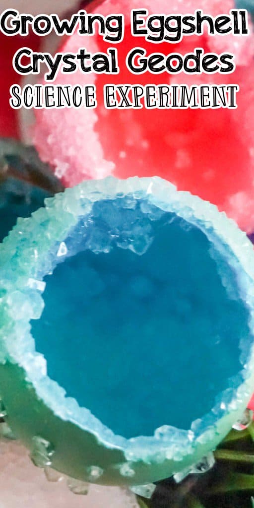 Growing Eggshell Crystal Geodes Science Experiment