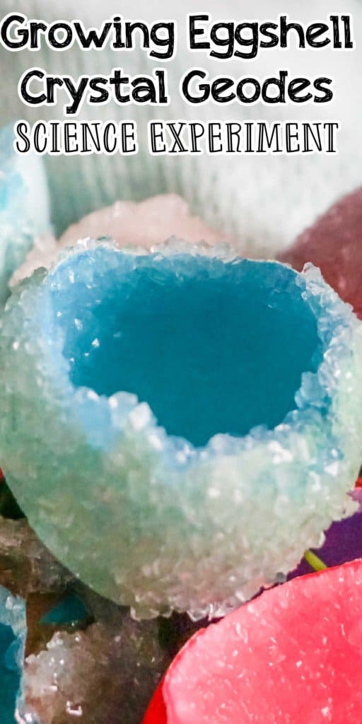 Growing Eggshell Crystal Geodes Science Experiment
