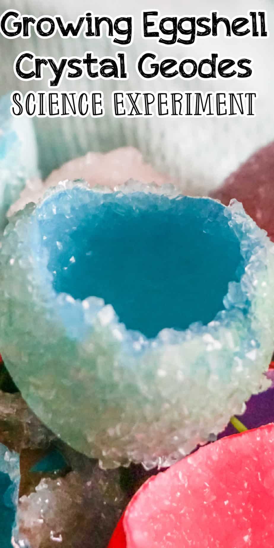 Growing Eggshell Crystal Geodes Science Experiment